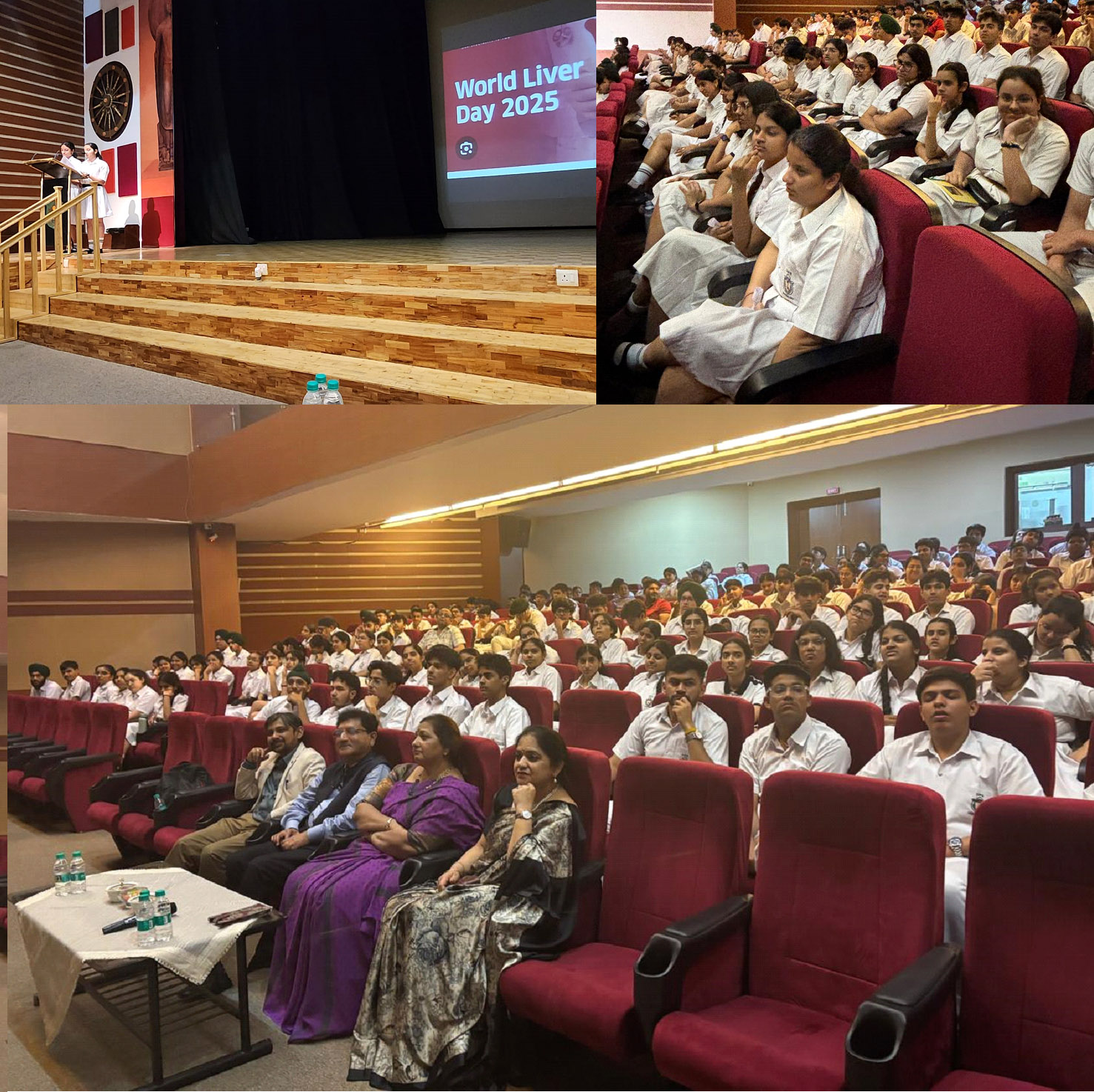 Awareness and Screening Programs by the Department of Hepatology, PGIMER, Chandigarh on World Liver Day – 2025